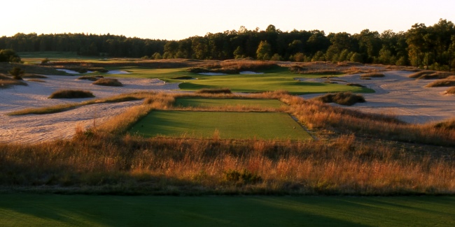 Forest Dunes #17