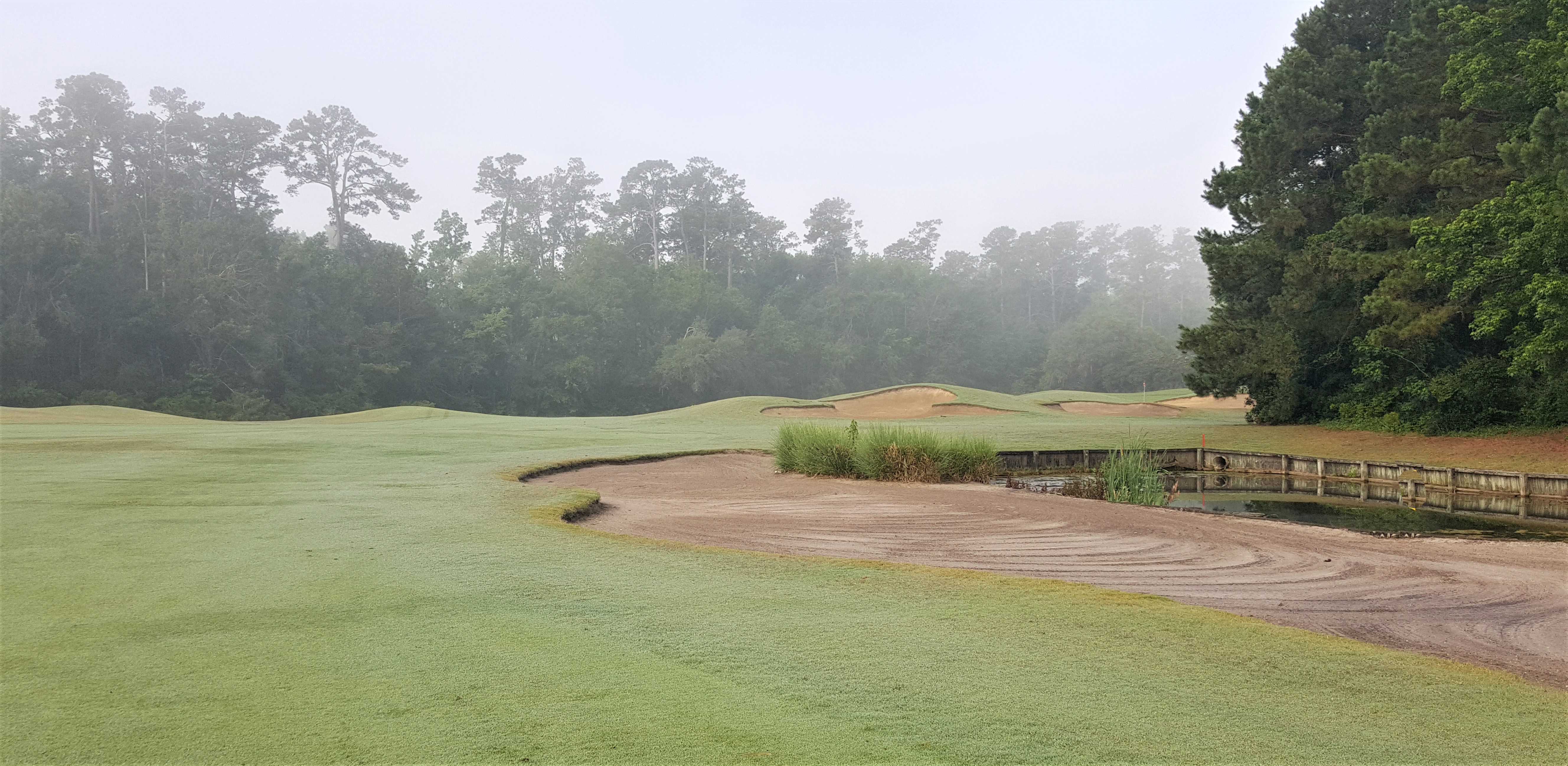 Waccamaw Golf Trail By David Theoret