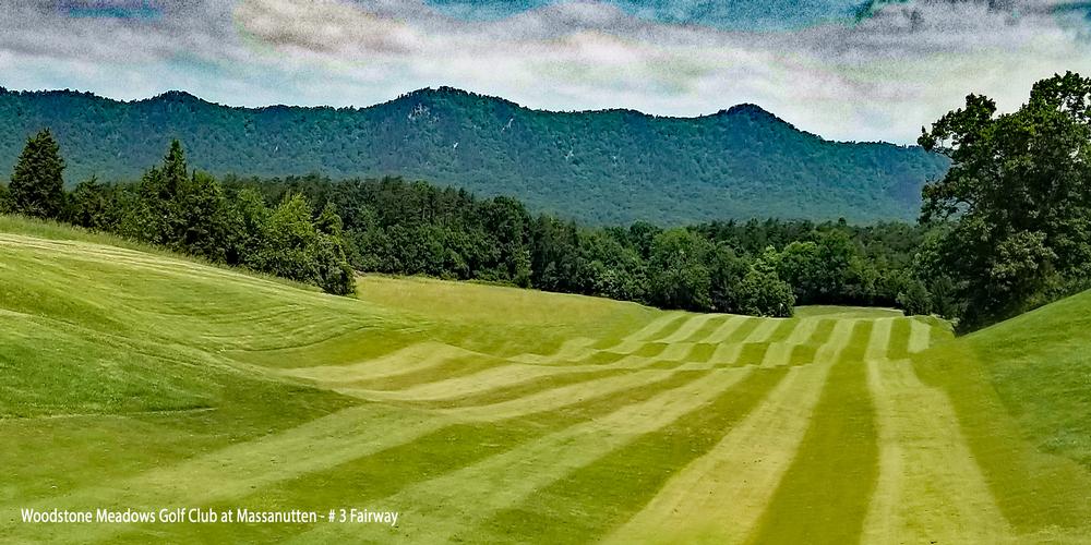 Woodstone Meadows at Massanutten Resort By David Theoret