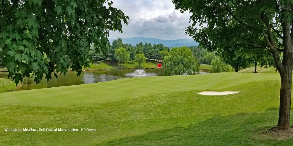 Woodstone Meadows at Massanutten Resort By David Theoret