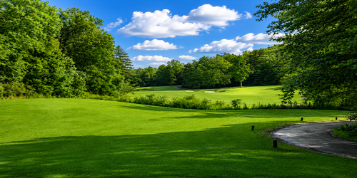 Chickasaw Golf Club: 