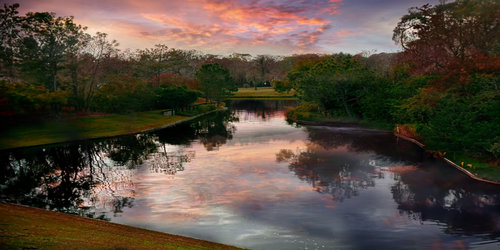 Discover the Mesmerizing Golf Courses at Walt Disney World Resort in Orlando, Florida