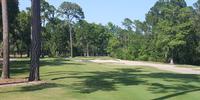 Pawleys Plantation 