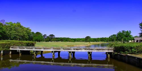 Surprising Values on Golf Travel  