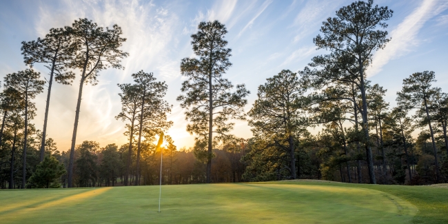 Golf Travel Guide To Pinehurst