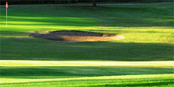 St Louis Golf Travel Guide - St Louis Golf Packages
