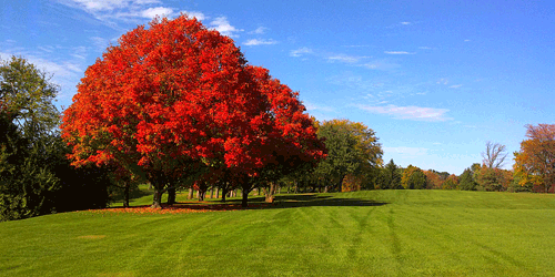 Meadowbrook Country Club