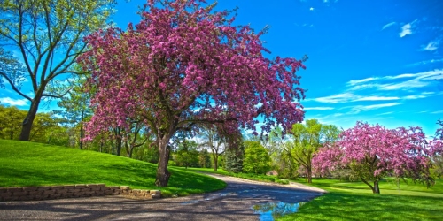 New Richmond Golf Club