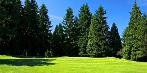 Bellevue Municipal Golf Course