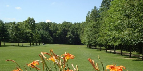 Cypress Run Golf Course
