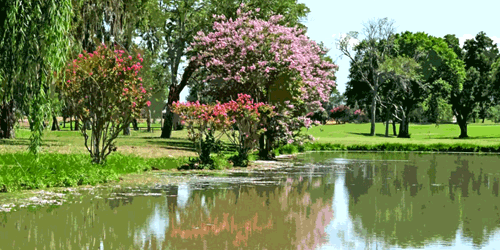 Fort Bend Country Club