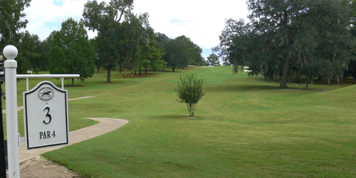 Golden Hills Golf & Turf Club