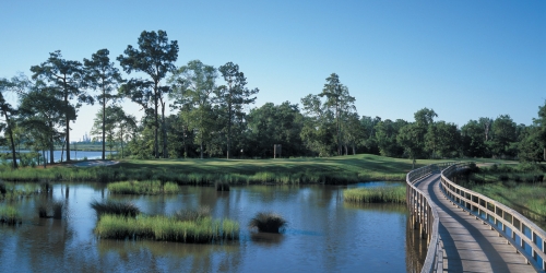 Gray Plantation