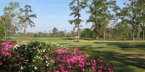 Idylwild Golf Club