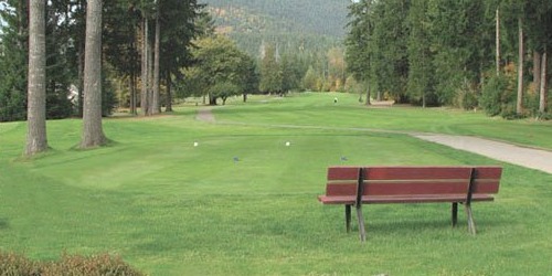 Lake Cushman Golf Course