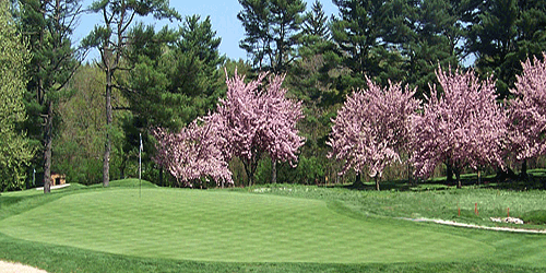 Meadowlands Country Club