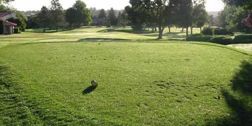 Meadow Springs Country Club