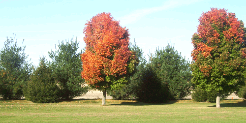 Meadowview Golf Course