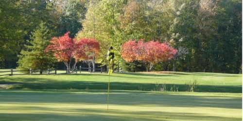 Michigan Meadows Golf Course