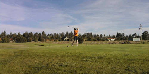 Pine Meadows Country Club