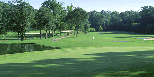 Polo Golf & Country Club