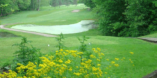 Raccoon International Golf Club