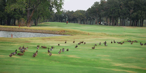 Rolling Hills Country Club