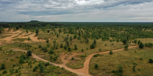 Sedge Valley at Sand Valley Golf Resort
