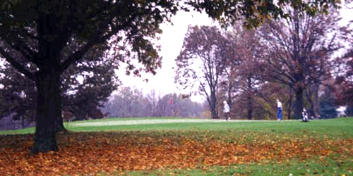 Shoaff Park Golf Course