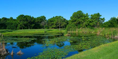 Rotonda Golf - Long Marsh Golf Club