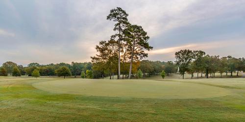 Pickwick Landing State Park Golf Course