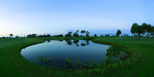 Rotonda Golf - The Palms