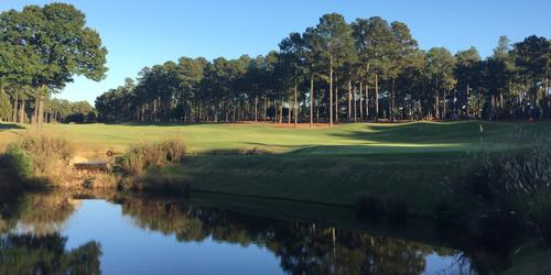 Pinewild Country Club - The Holly