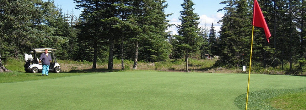 Fireweed Meadows Golf Course Membership