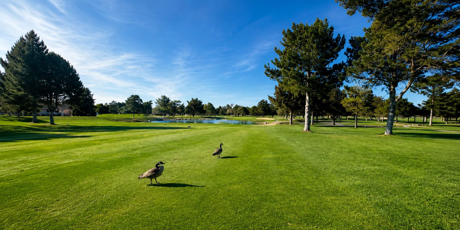 Indian Lakes Golf Club