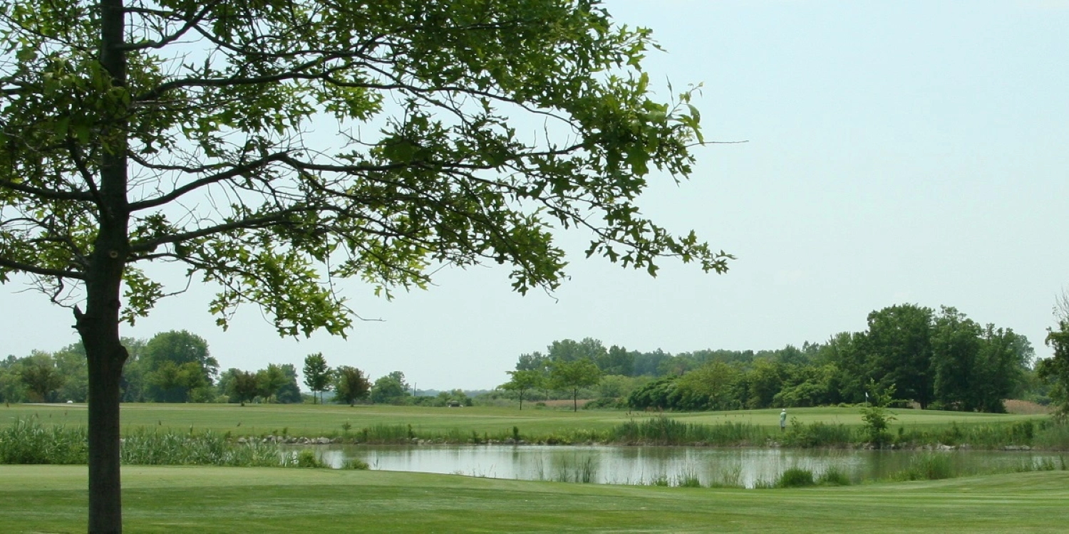 Lake Erie Metropark Golf Course Golf Outing