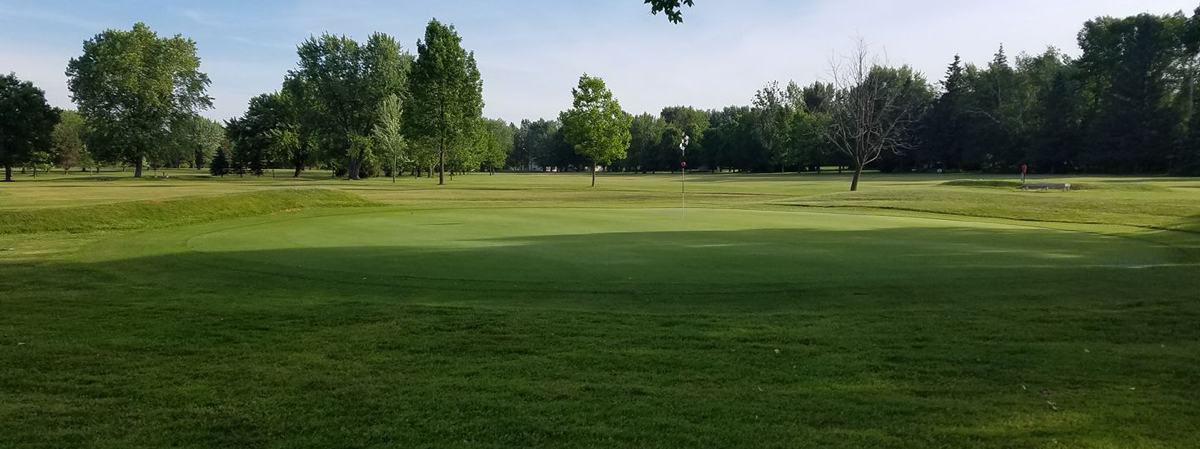 Meadowview Golf Course
