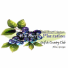 Blueberry Plantation Golf & Country Club