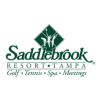 Saddlebrook Resort - Palmer Course