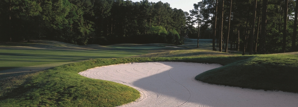 We've Got South Carolina on Our Minds - You Should To!